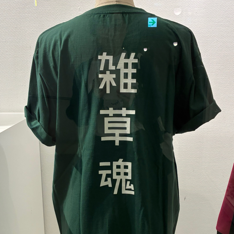 #609 白いおにぎり🍙、青い洞窟🛜、緑の雑草🌿