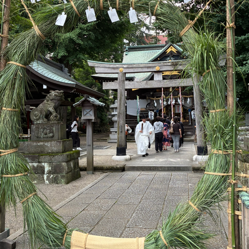 #678 この木なんの木じぶんの木🌲🌳🌴