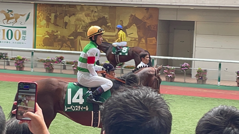 #7【キャロットクラブ2023募集馬解説 #1】美浦の有力馬と出資戦略❗️今年のドラフトで狙いたい馬は