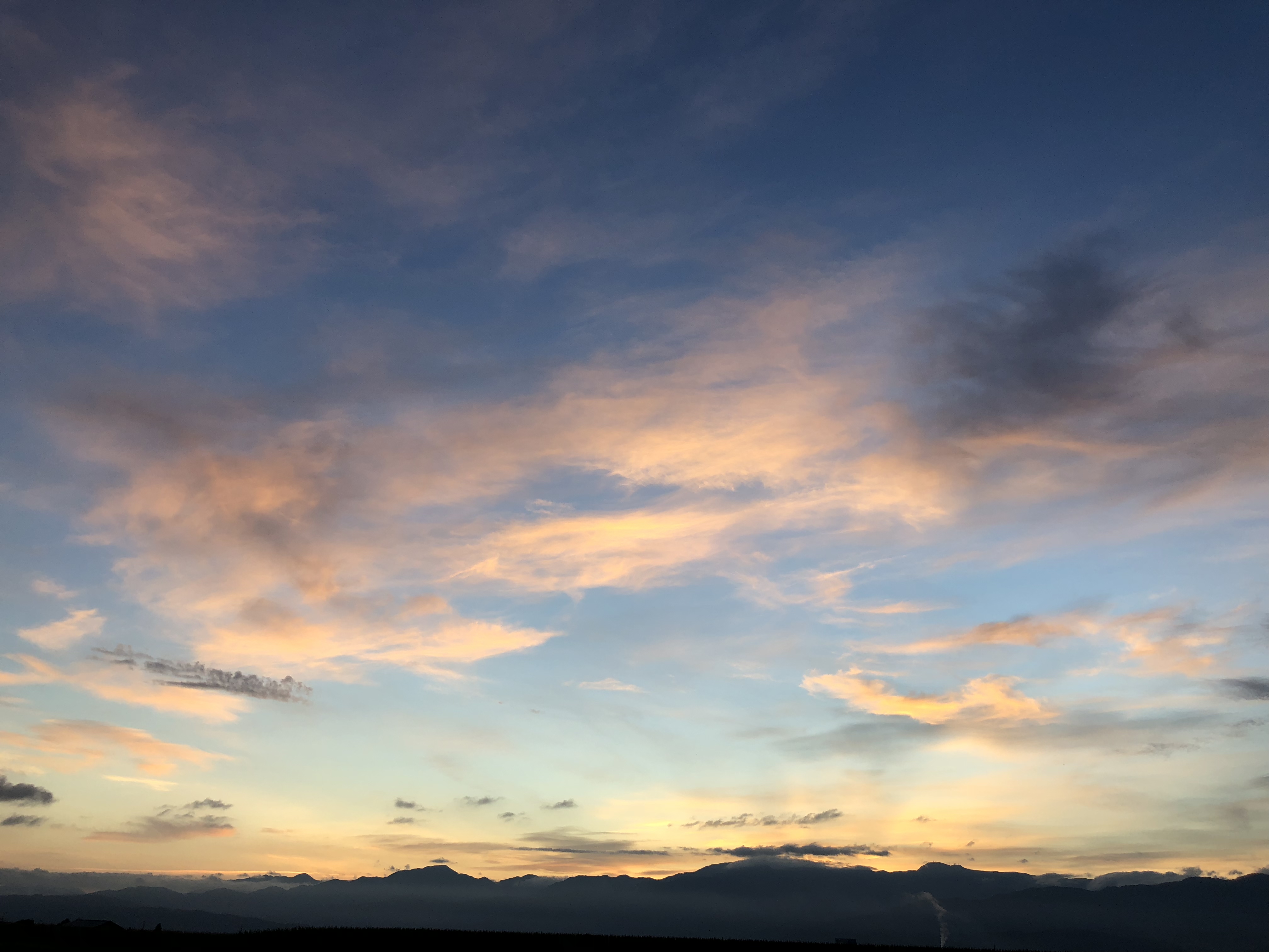 もりのひとりごと