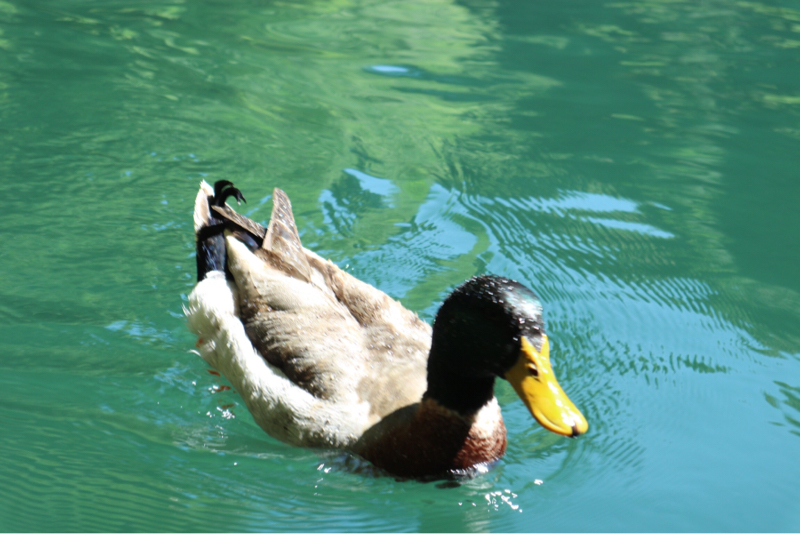5月13日 月曜日 モニラジ