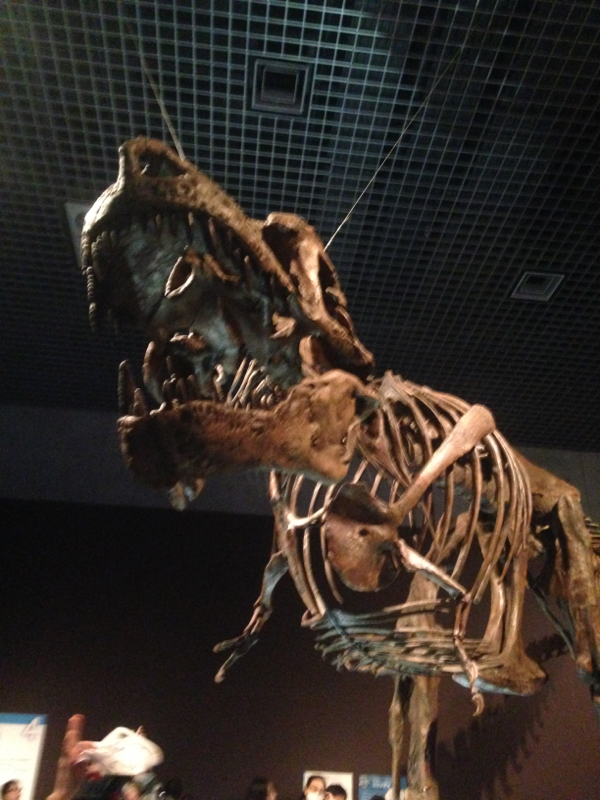 腐女子の自分と向き合う