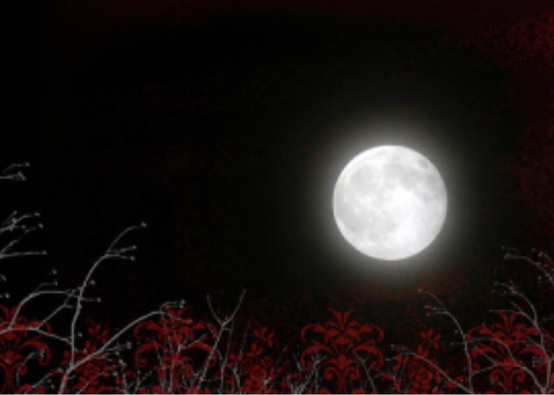 ジャク・ザ・リッパーについて