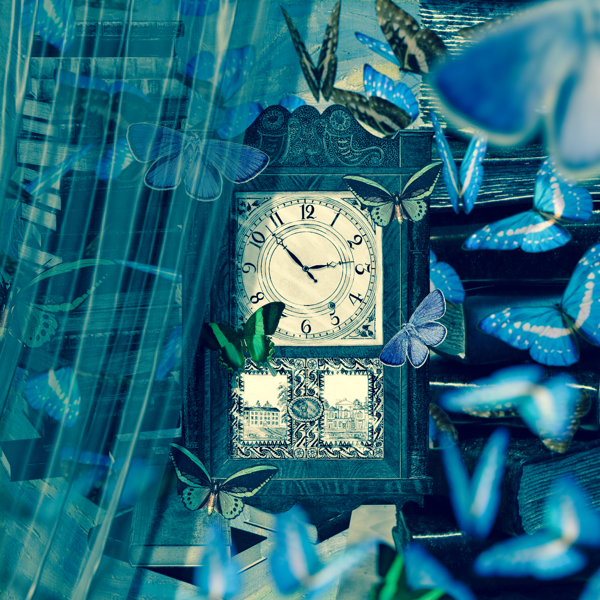 【歌ってみた】夏至下る／平田義久