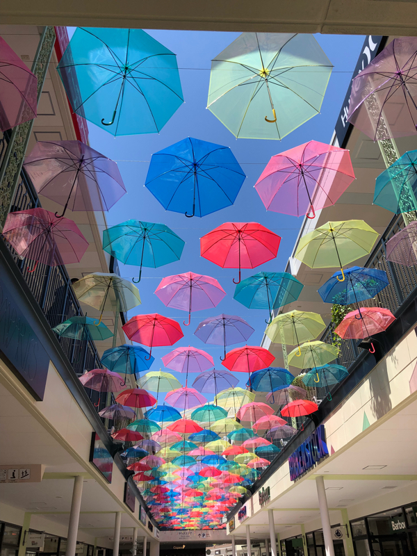 #1 はじめまして！たまゆりです！