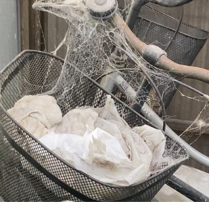 遂にチャリの時代が到来する