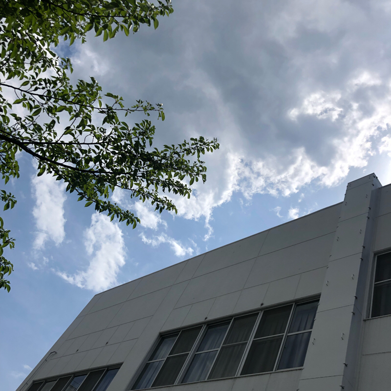 ガールズトーク