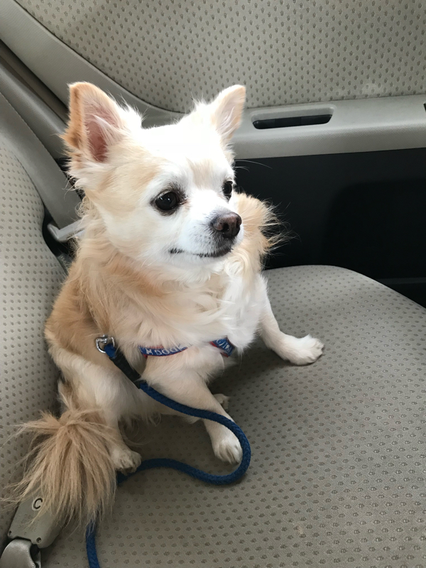 上条さんradikotalk初配信の巻