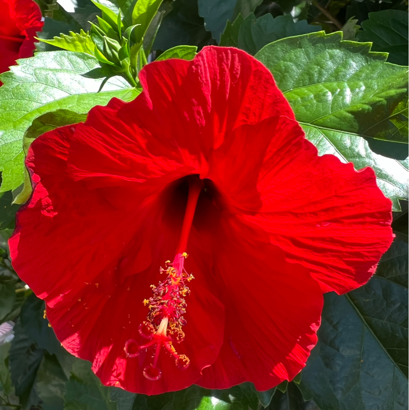 子供の才能！伸ばしてますか〜⤴️