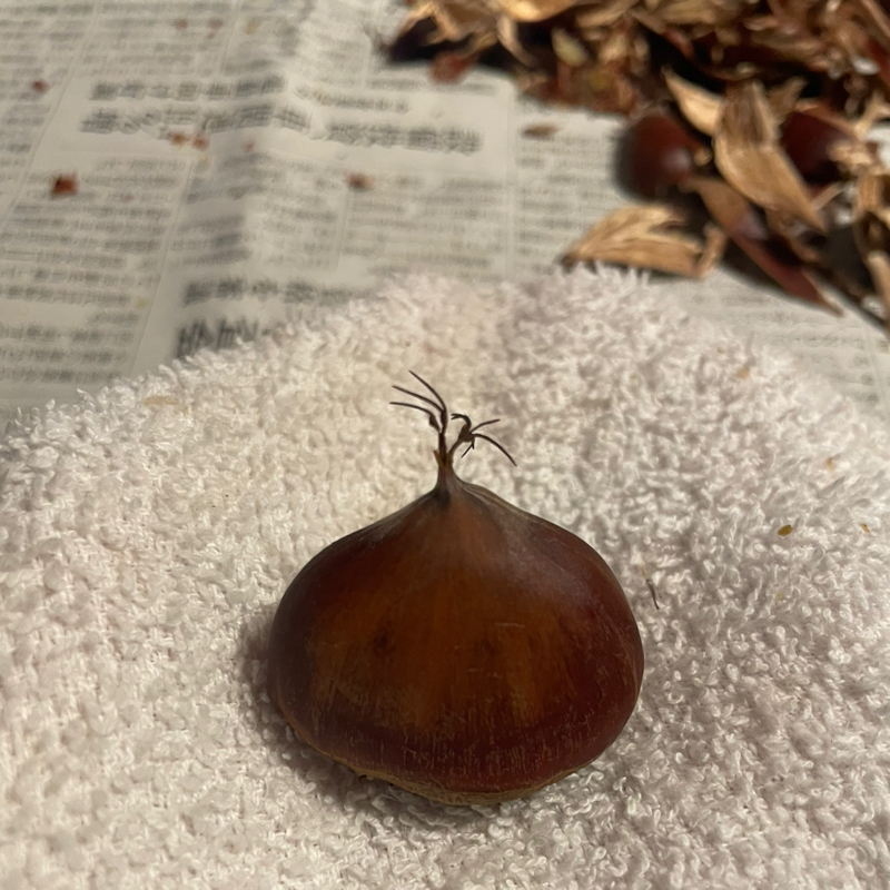 お菓子作りとダイエット