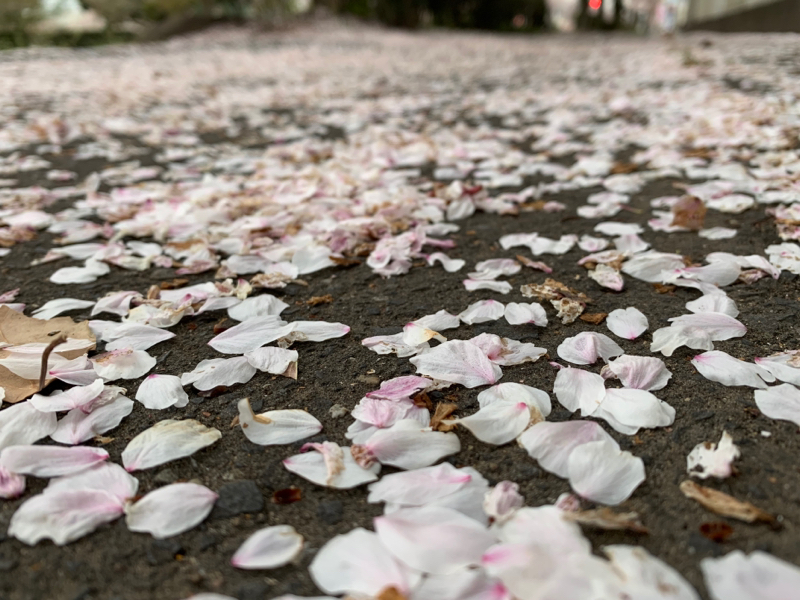 #1 起きるか寝るか