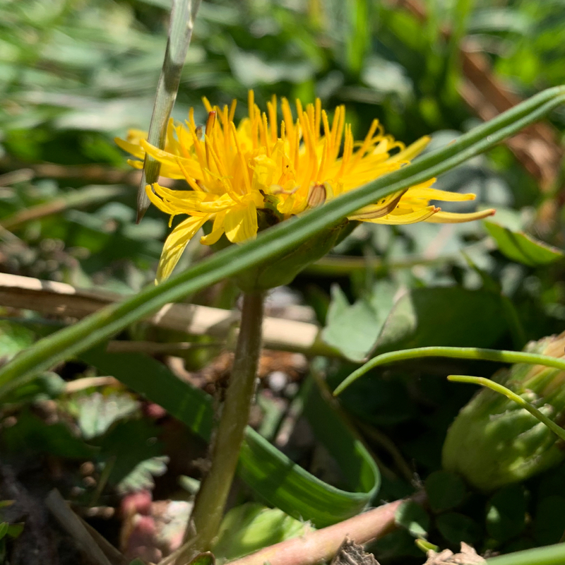 #5 別れの悲しみ