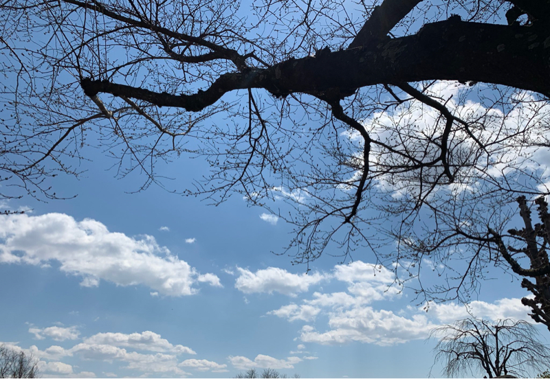 #12 休日と映画③(ネタバレ)