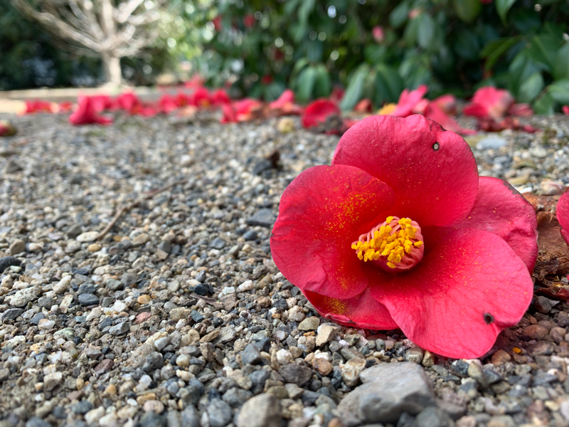 #13 仕事の愚痴と人体への不満