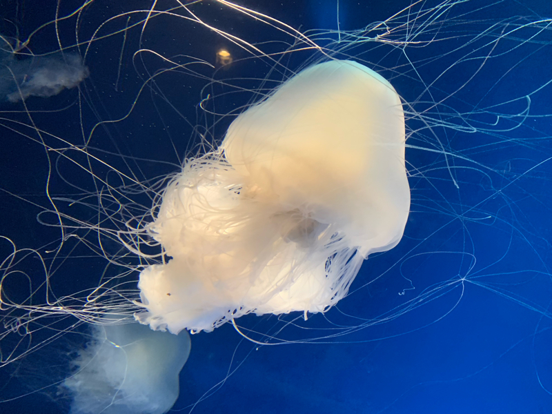 #24 ここはおれのカラオケルームやぞ