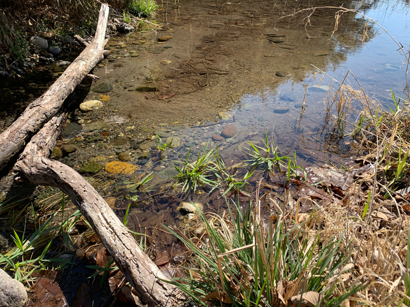 #26 特性と障害の違いって何