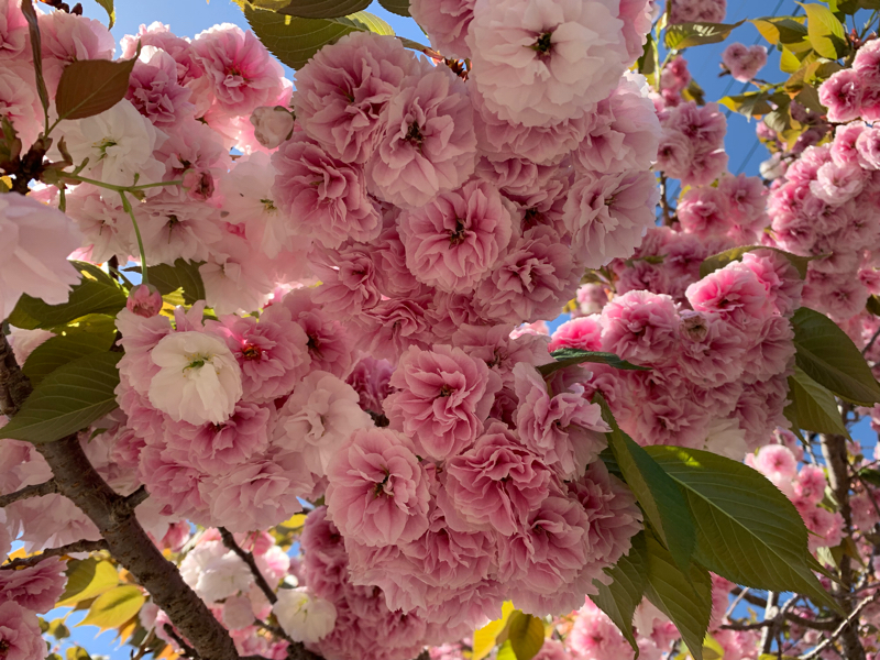 #27① 勘違いしてた