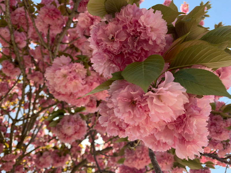 #27② 日常生活に支障