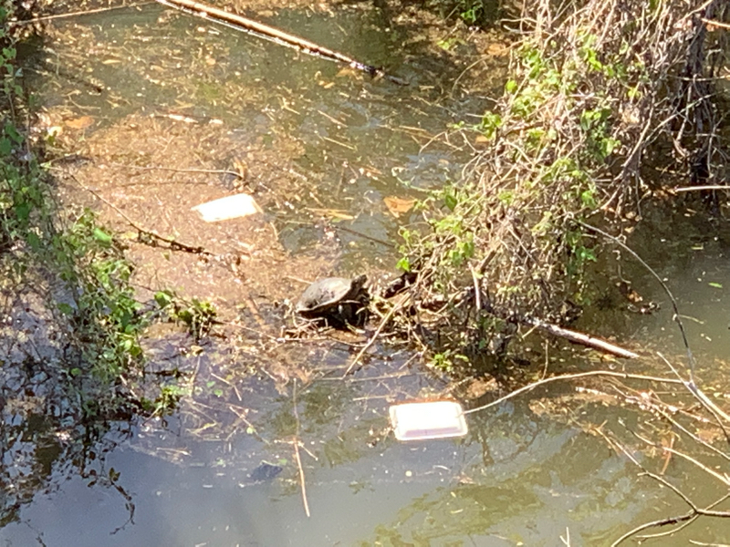 #32 映画4本見た(ネタバレ)