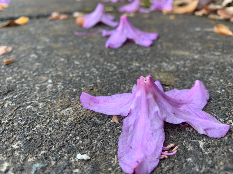 #34 非凡にも普通にもなれない凡人