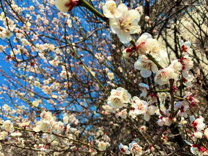 #35 仕事を辞める決心