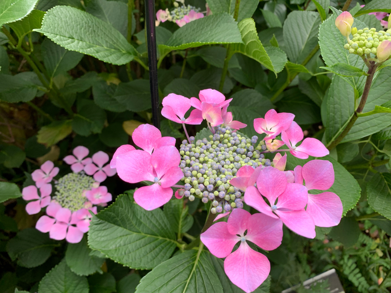 #48 正解不正解ではなく、するかしないか