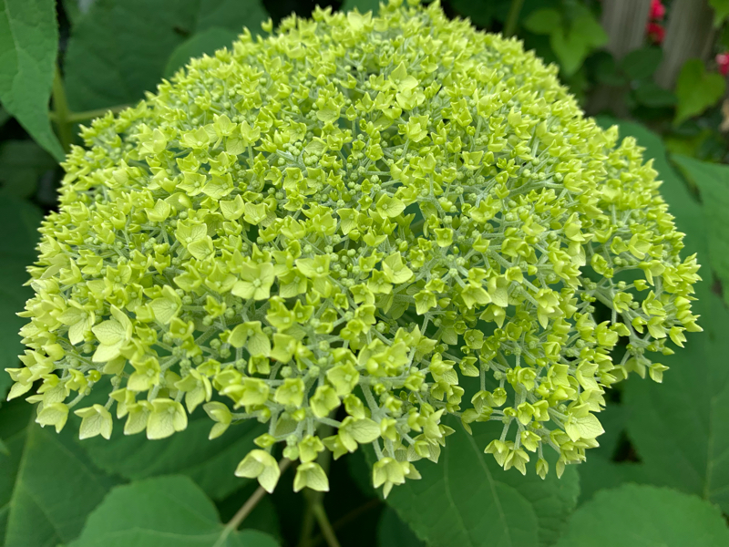 #51 女性の性的消費に憎しみ