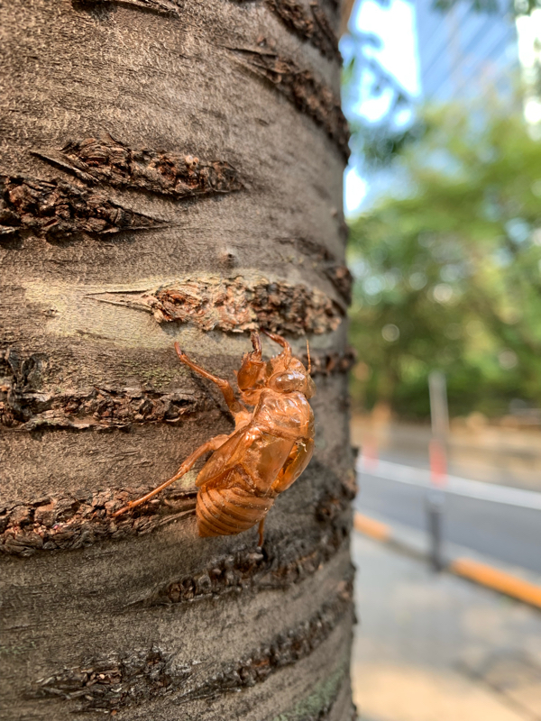 #69 混乱と選択と死にたがり