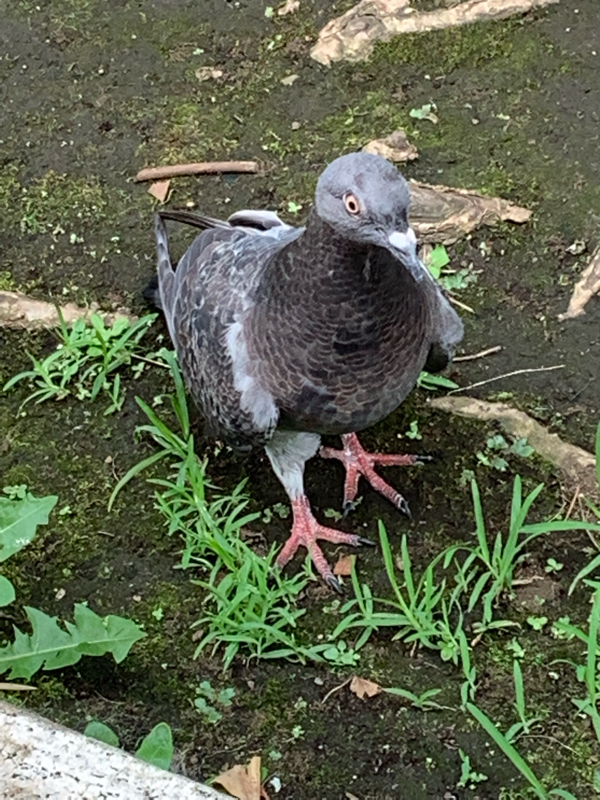 #70 被害妄想の自覚と視野の狭さ