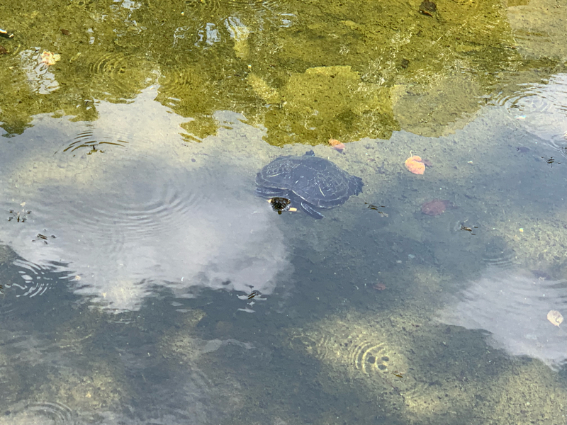 #73 誕生日の価値観①