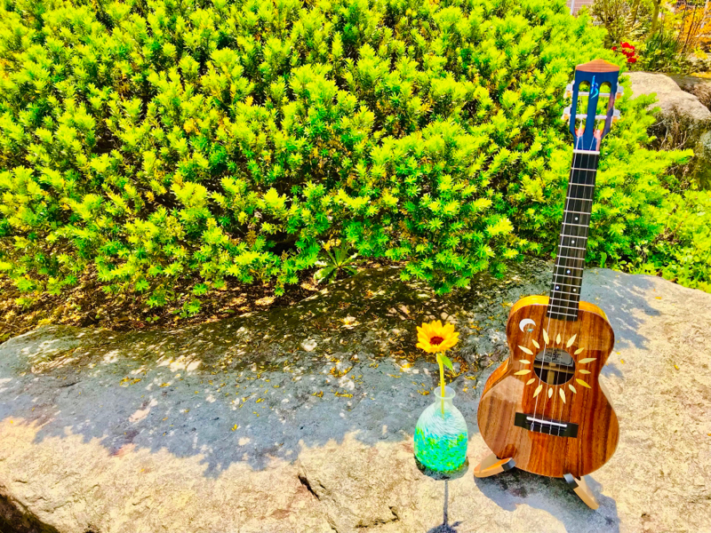 オリジナルソング/歩いて帰ろう/彩与