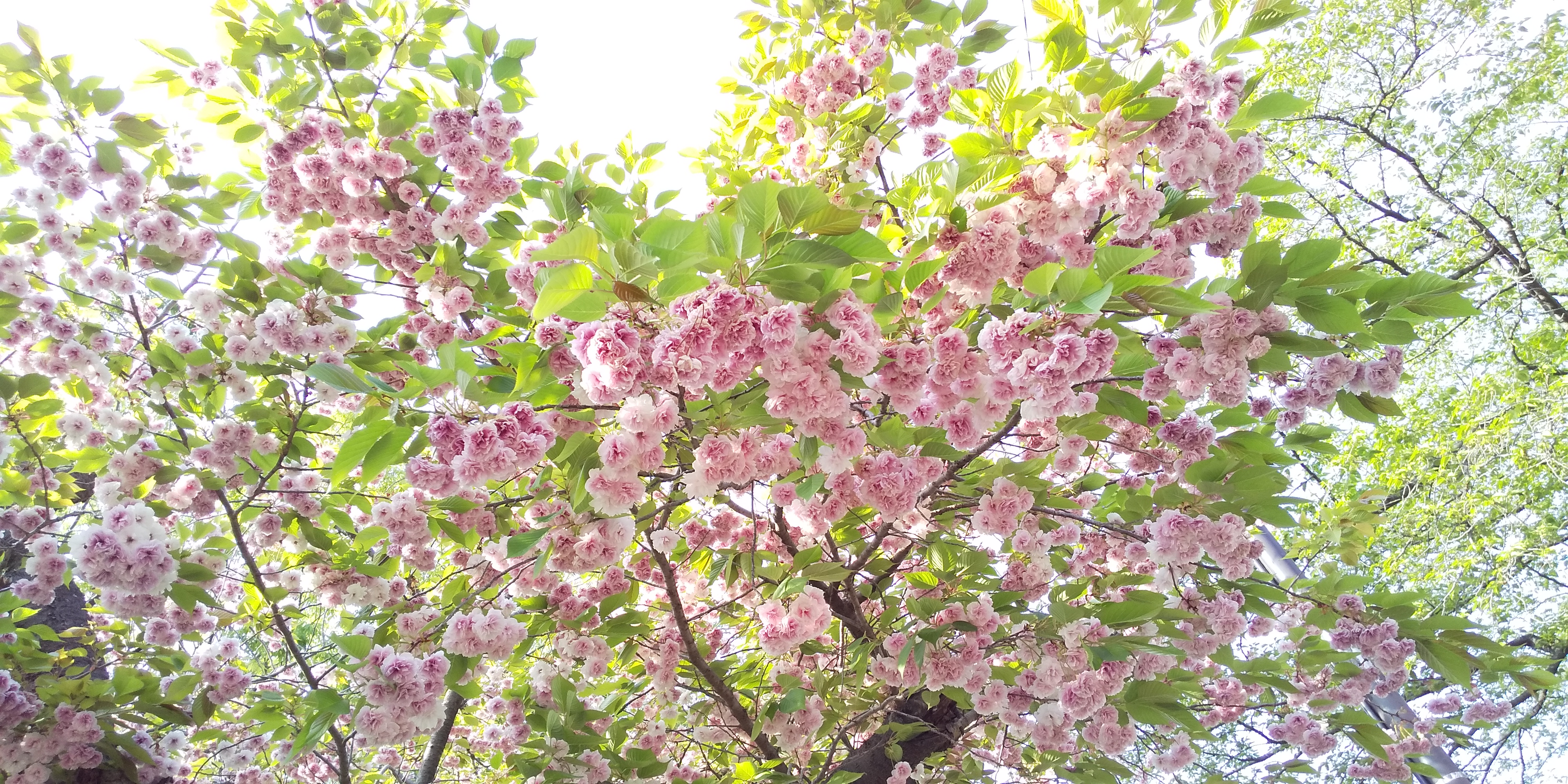 第１話 はははじめまして..！