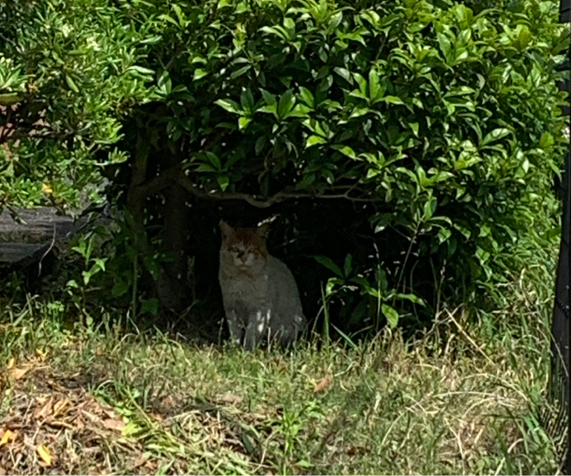 126 単独やります