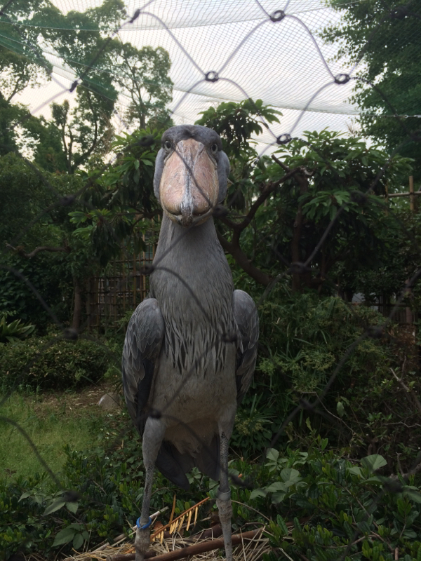 写真家が語る女のホントとは⁈