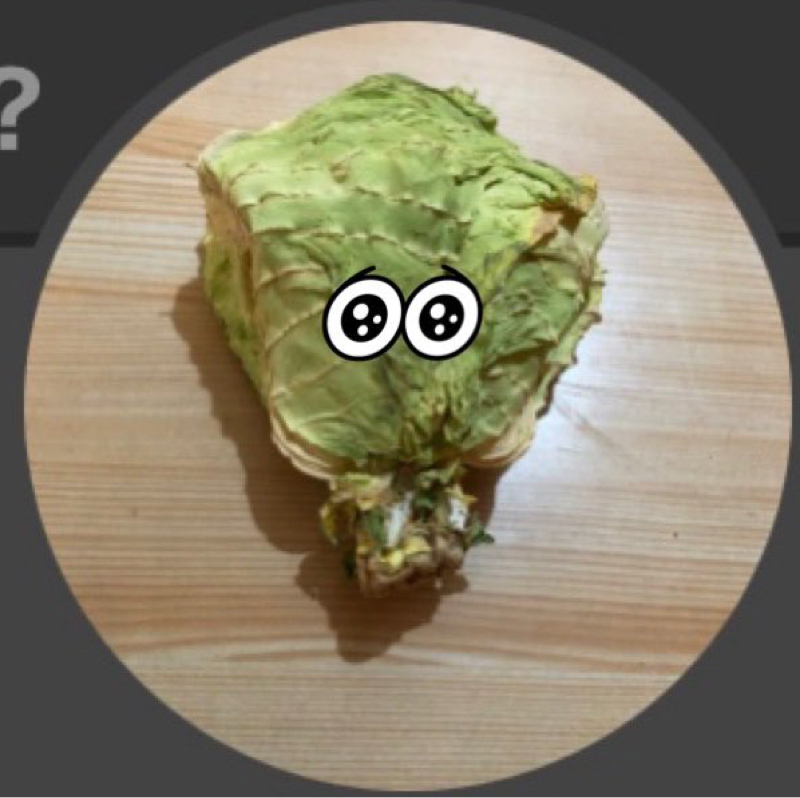 🍂カレイド(枯井戸)スコープ🐾 枯尾花(ﾄﾞﾗｲﾌﾗﾜｰ)