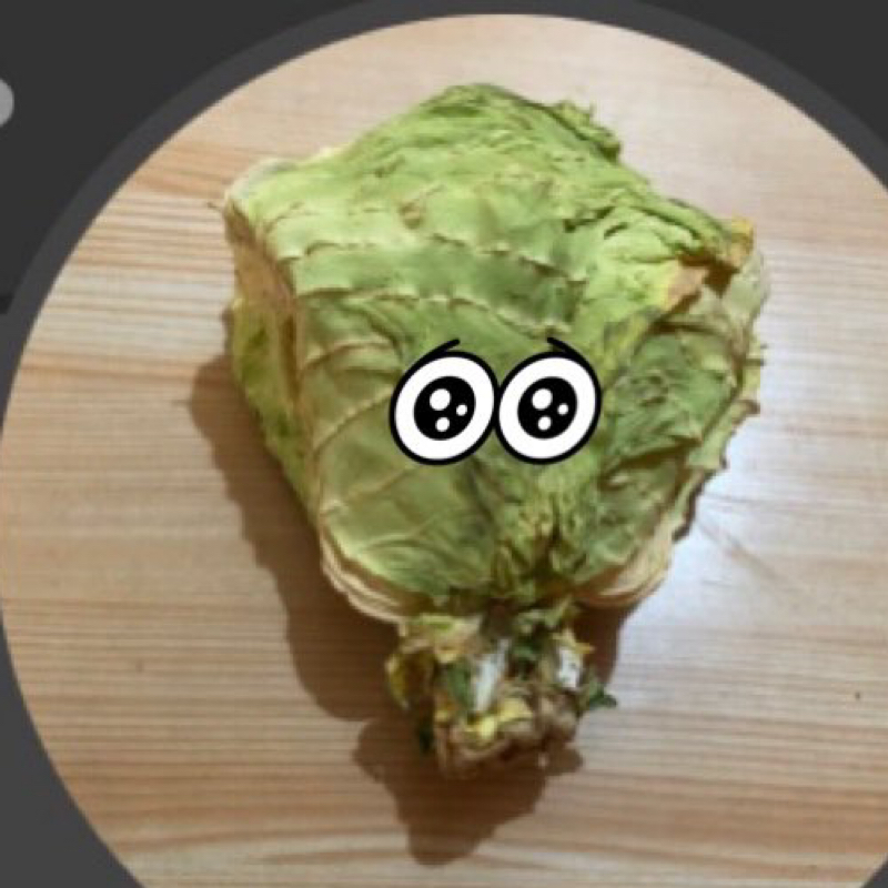 🍂カレイド(枯井戸)スコープ🐾 枯尾花(ﾄﾞﾗｲﾌﾗﾜｰ)