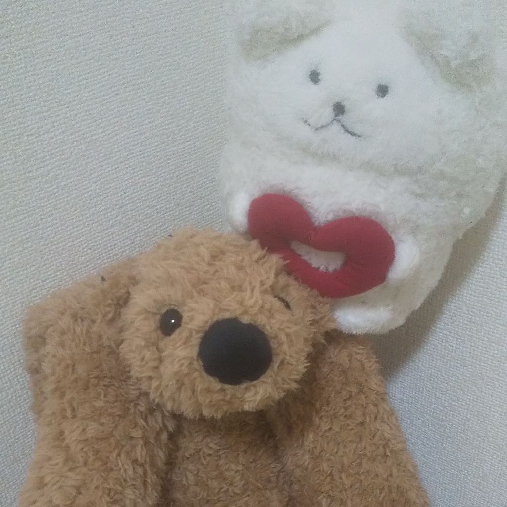 第260回 私の好きな映画～心震わせる名場面～