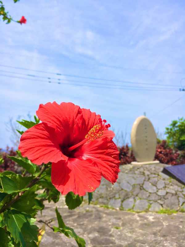 喜界島の旅で感じたこと