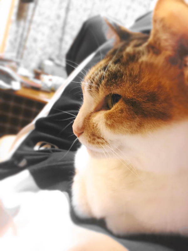 緊急特番！ゆとりフリーター応援ラジオ＆全てのトーカーに！