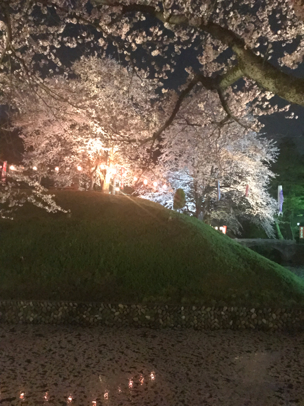 1号と呼ばれた男#028 丑の刻参りと夜桜