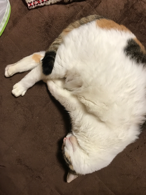 1号と呼ばれた男#09 横取りテーマ「神は存在するのか」