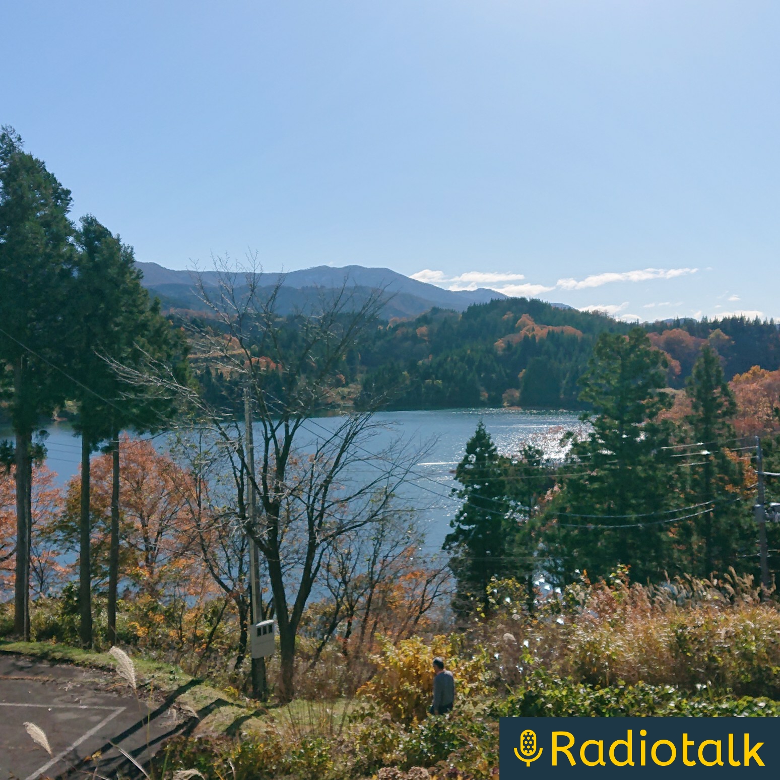 ふらりふらりとひとりごと podcast artwork