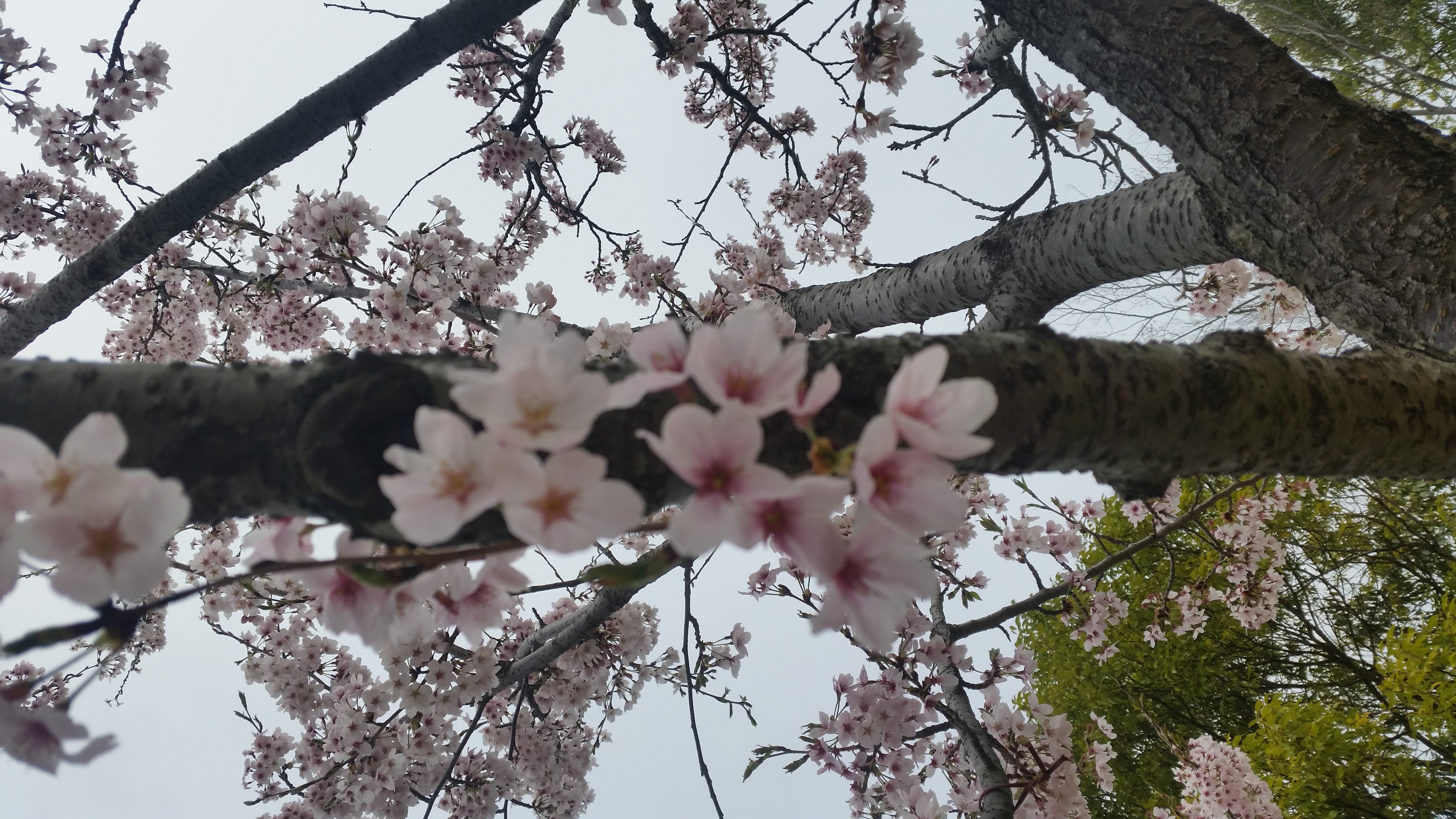 娘が介護士だからを見て