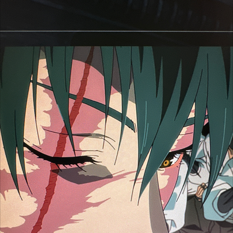 第243回　呪術廻戦　第51話　血ドバドバ人体分解しまくりで圧巻すぎたッ‼️