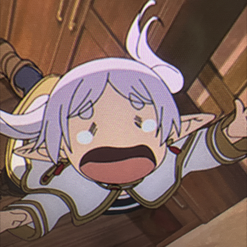 第248回　葬送のフリーレン　31話　死を賭けた温泉巡りッ♨️シュタルクとフェルンのデートの結末は⁉️