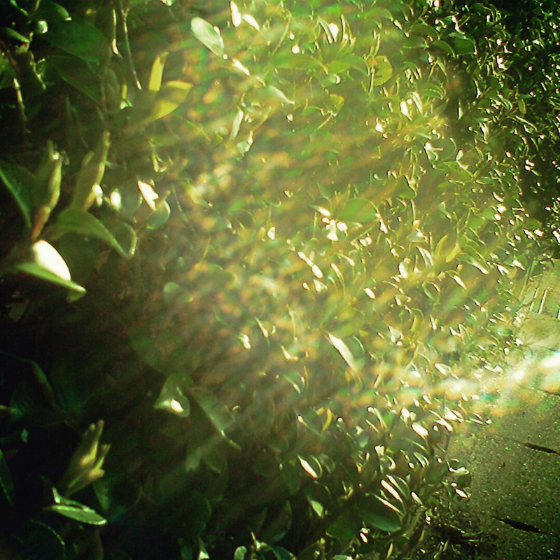 まんがかきながらワアー