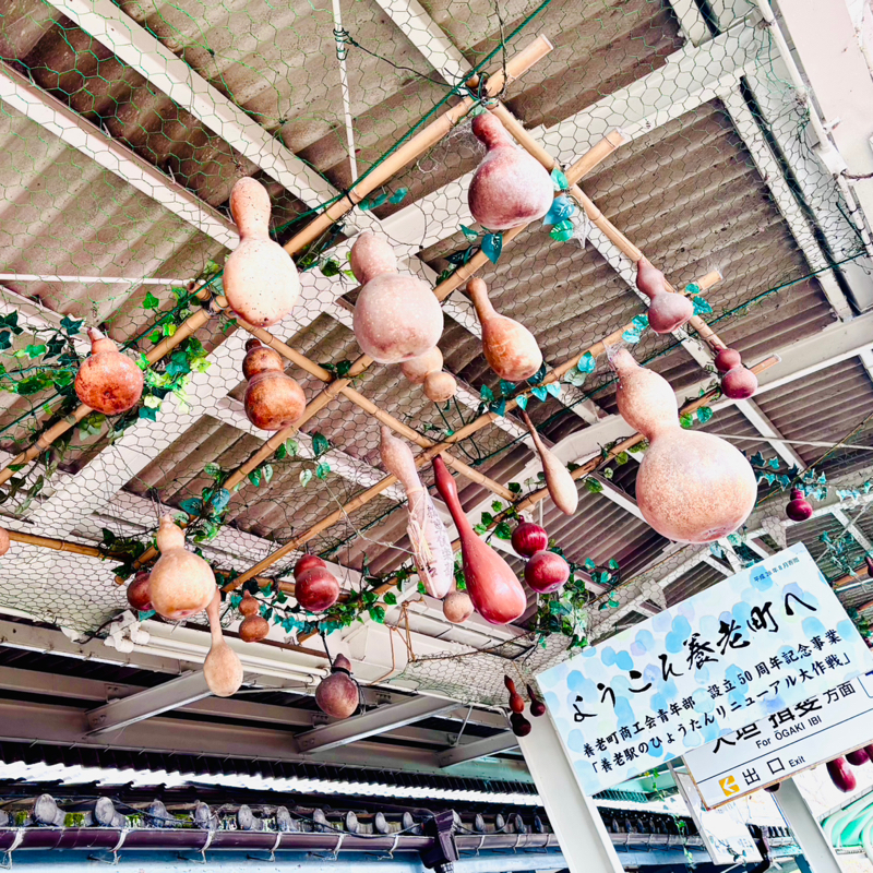 010_物数「養老の滝は滝があるところです」