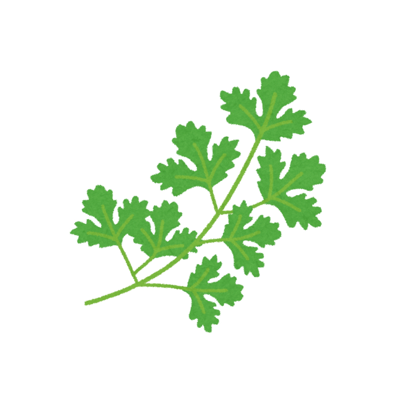 012_物数「パクチー苦手なんですよ」