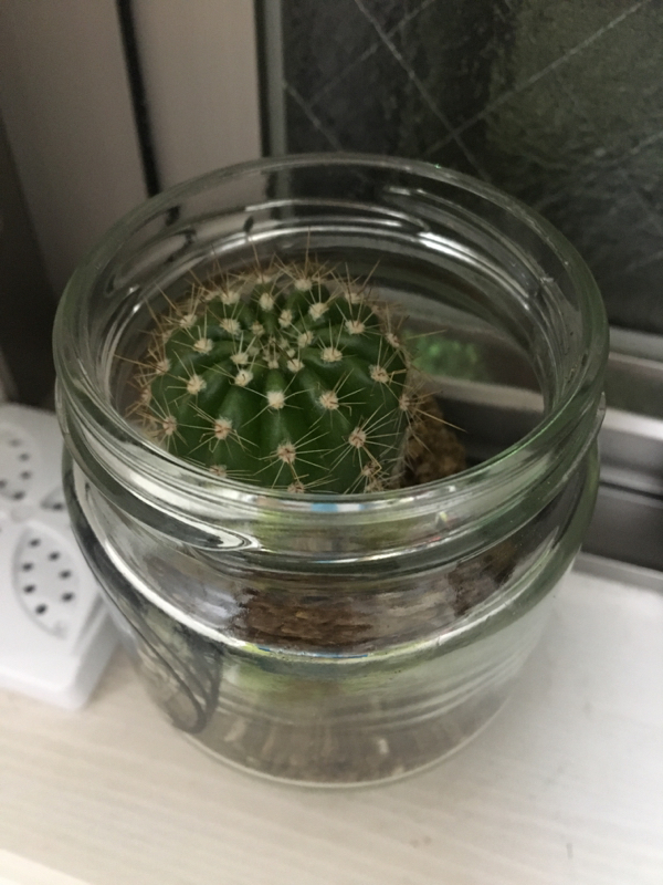 #7-1歌舞伎町のホストに絡まれた話