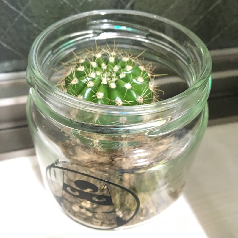 #11 投資家と知り合い話を聞いたけど顔が気になって話が入って来なかった件について